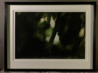 110_X6251 102072 32-2