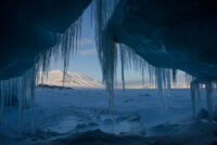 112_Svalbard_2015_00542-FA dålig