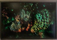 118_Oceans_WestPapua_101003_07164