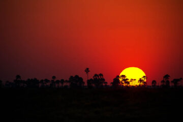 Solnedgång över Makgadikgadi, Botswana, 2010