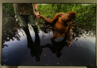 128_MM7455_080324_31630