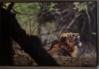 130_MM6807 704616 8 kopia