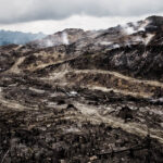 Deforestation in Borneo