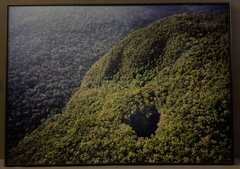 Berg med grönska, Gunung Mulu, 1995