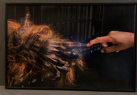 148_MM7455_080325_32606