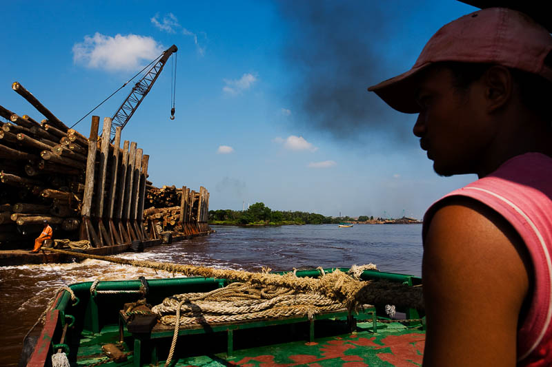 Borneo´s rainforest Illegal timber shipment