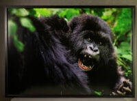 155_16511_Rwanda