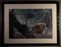 171_MM6807 704616 8 kopia