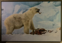 187_Svalbard_2015_04825