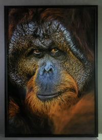 194_MM7455_080325_33181