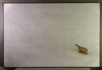 212_Svalbard_2015_11767-9