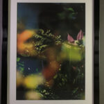 Grenar och blommor i ljus