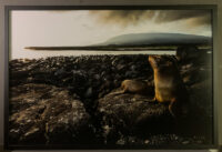 231_MM7551_080702_28488