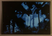 237_MM7455_080306_24954