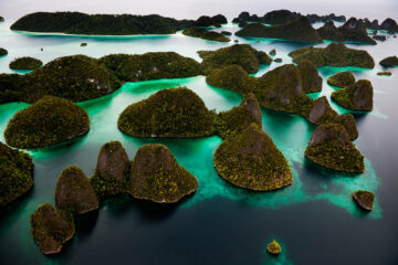 Tropiska öar