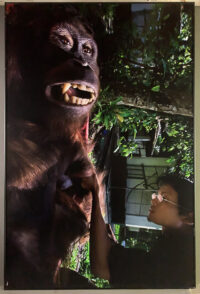 258_MM7455_080325_33077