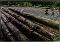 261_MM7455_080223_12495