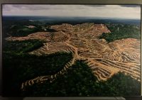 271_MM7455_080228_18744