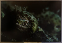 44_Oceans_WestPapua_101001_06466