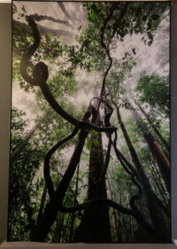 50_MM7455_080302_20546