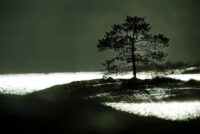 Havsörnsfotografering, Vånö. 2007.