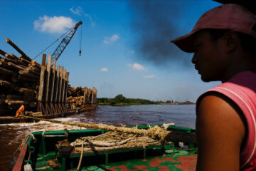 Transport of illegally harvested rainforest