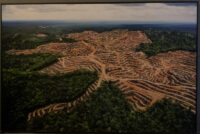 69_MM7455_080228_18744