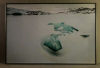 75_Svalbard_2015_06233-9