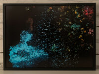 7_Oceans_WestPapua_20101211