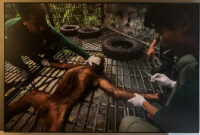 84_MM7455_080325_33320